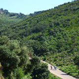 Bikecat-Cumple_Gus_Girona-2026-187