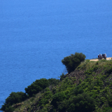 Bikecat-Cumple_Gus_Girona-2026-204