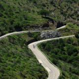 Bikecat-Cumple_Gus_Girona-2026-210