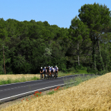 Bikecat-Cumple_Gus_Girona-2026-223