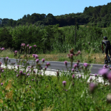 Bikecat-Cumple_Gus_Girona-2026-224