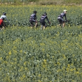 Bikecat-Family-Tour-2016-097