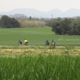Bikecat-Family-Tour-2016-134