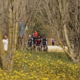 Bikecat-Family-Tour-2016-140