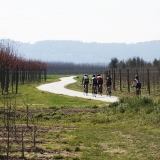 Bikecat-Family-Tour-2016-196