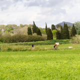 Girona_2025_Father-Daughter_Trip-003