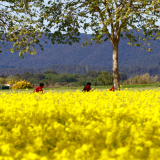 Girona_2025_Father-Daughter_Trip-049