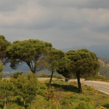 Bikecat-Girona-Costa-Brava-Cycling-Tour-2018-012