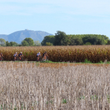 Girona-Costa-Brava-Cycling-Tour-2021-Bikecat-089