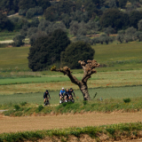 Girona-Costa_Brava_Tour-2023-Bikecat_Cycling_Tours-096
