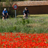 Girona-Costa_Brava_Tour-2023-Bikecat_Cycling_Tours-099