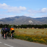 Girona-Costa_Brava_Tour-2023-Bikecat_Cycling_Tours-151