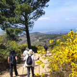 Girona-Costa_Brava_Tour-2023-Bikecat_Cycling_Tours-160