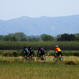 Girona-Costa_Brava_Tour-2023-Bikecat_Cycling_Tours-161