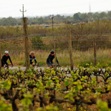 Girona-Costa_Brava_Tour-2023-Bikecat_Cycling_Tours-164