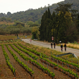 Girona-Costa_Brava_Tour-2023-Bikecat_Cycling_Tours-166