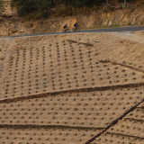 Girona-Costa_Brava_Tour-2023-Bikecat_Cycling_Tours-184