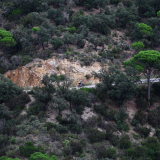 Grona_Cycling_Tour_2025-138