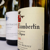 Grona_Cycling_Tour_2025-147