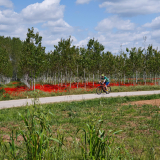Girona_2025_Father-Son_Trip-037