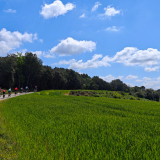 Girona_2025_Father-Son_Trip-062