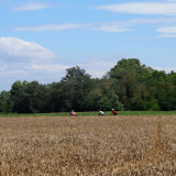 Girona_Private_Tour-CTS-Bikecat-019