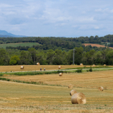 Girona_Private_Tour-CTS-Bikecat-111