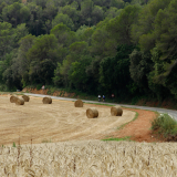 Girona_Private_Tour-CTS-Bikecat-132
