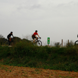 Girona_Private_Tour-005