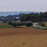 Girona_Private_Tour-020