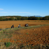 Girona_Private_Tour-046