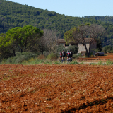 Girona_Private_Tour-059