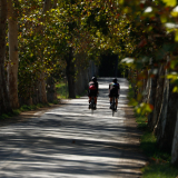 Girona_Private_Tour-067