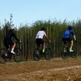 Girona_Private_Tour-081