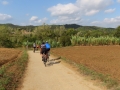 Bikecat-Mariposa-Girona-to-Empuries-Cycling-Tour-2019-024