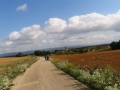 Bikecat-Mariposa-Girona-to-Empuries-Cycling-Tour-2019-026