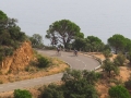 Bikecat-Mariposa-Girona-to-Empuries-Cycling-Tour-2019-058