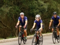 Bikecat-Mariposa-Girona-to-Empuries-Cycling-Tour-2019-066