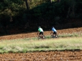 Bikecat-Mariposa-Girona-to-Empuries-Cycling-Tour-2019-088