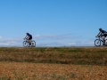 Bikecat-Mariposa-Girona-to-Empuries-Cycling-Tour-2019-094