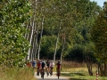 Bikecat-Mariposa-Girona-to-Empuries-Cycling-Tour-2019-098