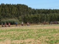Bikecat-Mariposa-Girona-to-Empuries-Cycling-Tour-2019-099