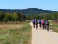 Bikecat-Mariposa-Girona-to-Empuries-Cycling-Tour-2019-101