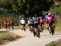 Bikecat-Mariposa-Girona-to-Empuries-Cycling-Tour-2019-104