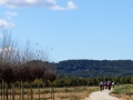 Bikecat-Mariposa-Girona-to-Empuries-Cycling-Tour-2019-106