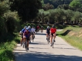 Bikecat-Mariposa-Girona-to-Empuries-Cycling-Tour-2019-125