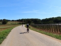 Bikecat-Mariposa-Girona-to-Empuries-Cycling-Tour-2019-126
