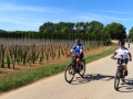Bikecat-Mariposa-Girona-to-Empuries-Cycling-Tour-2019-127