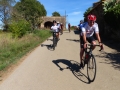 Bikecat-Mariposa-Girona-to-Empuries-Cycling-Tour-2019-128