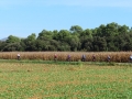 Bikecat-Mariposa-Girona-to-Empuries-Cycling-Tour-2019-134